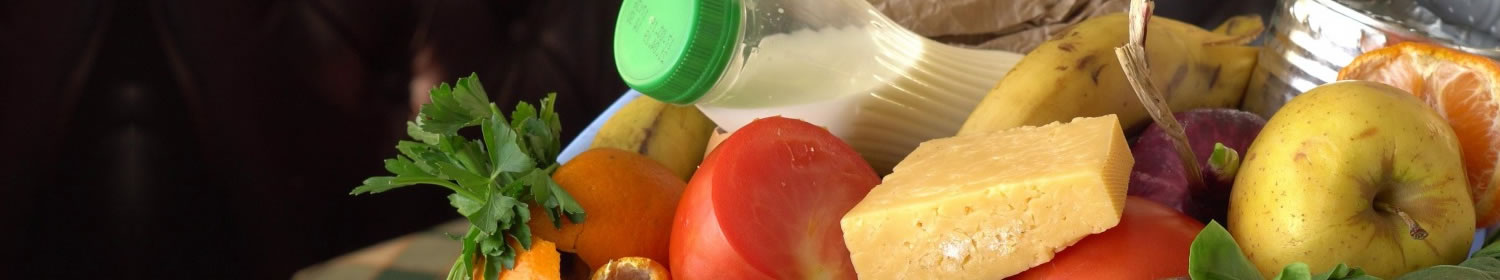 Showcase - Your Website Name